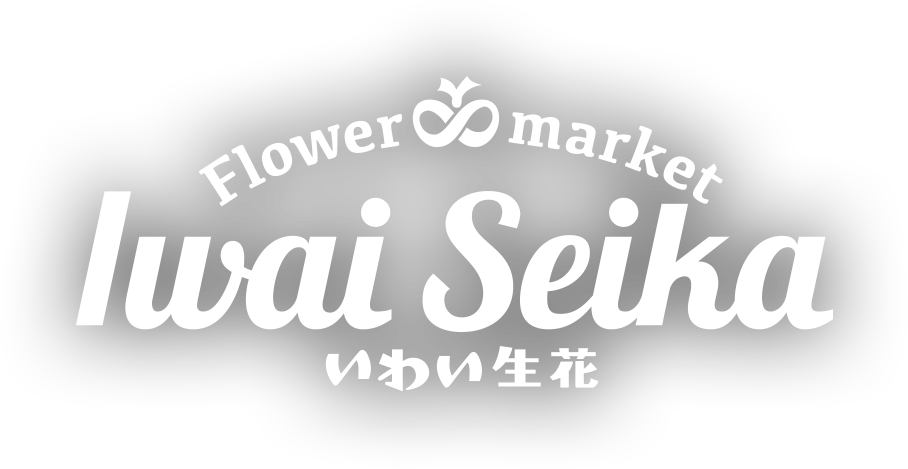 日本で唯一のかすみ草専門店として知られる栃木県鹿沼市のお花屋さん いわい生花